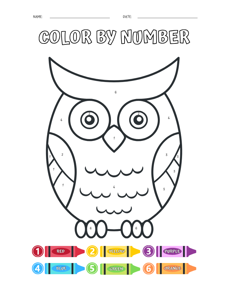 Preschool Owl Color by Number Worksheet - Free Printable PDF preview